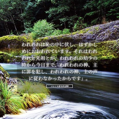 Picture 05 - エレミヤ書 3:25 JPN - われわれは恥の中に伏し、はずかし - Bible Verse Picture