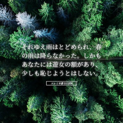 Picture 05 - エレミヤ書 3:3 JPN - それゆえ雨はとどめられ、春の雨は - Bible Verse Picture