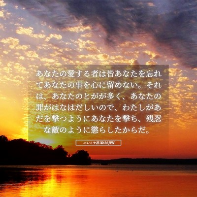 Picture 05 - エレミヤ書 30:14 JPN - あなたの愛する者は皆あなたを忘れ - Bible Verse Picture