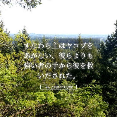 Picture 05 - エレミヤ書 31:11 JPN - すなわち主はヤコブをあがない、彼 - Bible Verse Picture