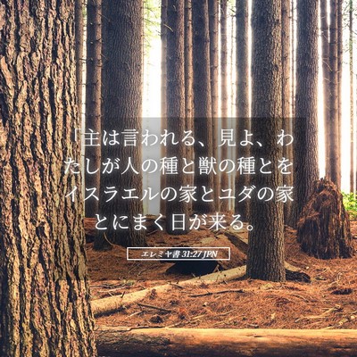 Picture 05 - エレミヤ書 31:27 JPN - 「主は言われる、見よ、わたしが人 - Bible Verse Picture