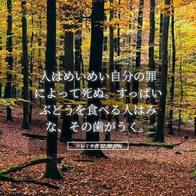 Picture 05 - エレミヤ書 31:30 JPN - 人はめいめい自分の罪によって死ぬ - Bible Verse Picture