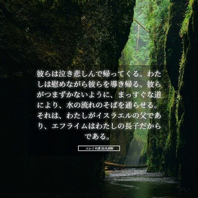 Picture 05 - エレミヤ書 31:9 JPN - 彼らは泣き悲しんで帰ってくる。わ - Bible Verse Picture