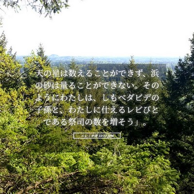 Picture 05 - エレミヤ書 33:22 JPN - 天の星は数えることができず、浜の - Bible Verse Picture