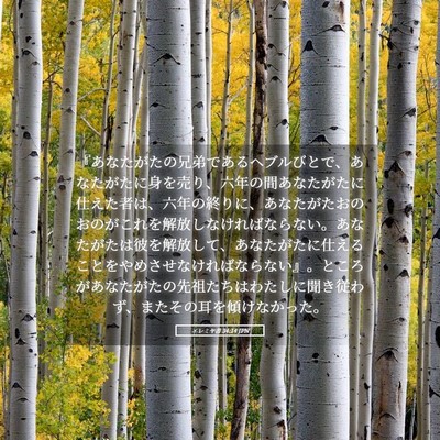 Picture 05 - エレミヤ書 34:14 JPN - 『あなたがたの兄弟であるヘブルび - Bible Verse Picture
