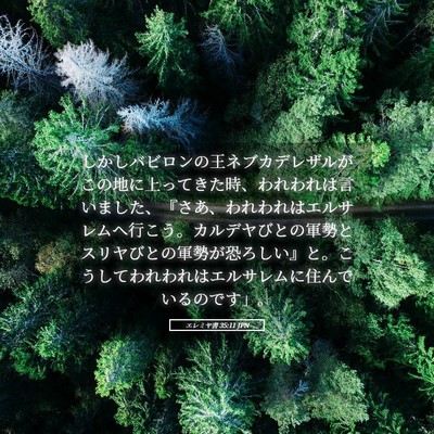 Picture 05 - エレミヤ書 35:11 JPN - しかしバビロンの王ネブカデレザル - Bible Verse Picture
