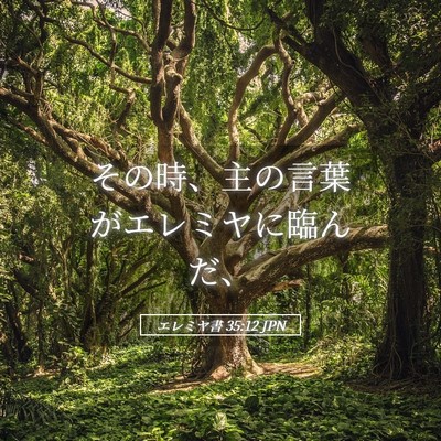 Picture 05 - エレミヤ書 35:12 JPN - その時、主の言葉がエレミヤに臨ん - Bible Verse Picture