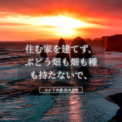 Picture 05 - エレミヤ書 35:9 JPN - 住む家を建てず、ぶどう畑も畑も種 - Bible Verse Picture