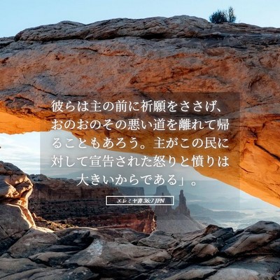 Picture 05 - エレミヤ書 36:7 JPN - 彼らは主の前に祈願をささげ、おの - Bible Verse Picture