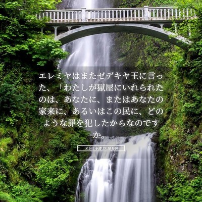 Picture 05 - エレミヤ書 37:18 JPN - エレミヤはまたゼデキヤ王に言った - Bible Verse Picture