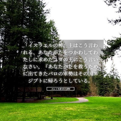 Picture 05 - エレミヤ書 37:7 JPN - 「イスラエルの神、主はこう言われ - Bible Verse Picture