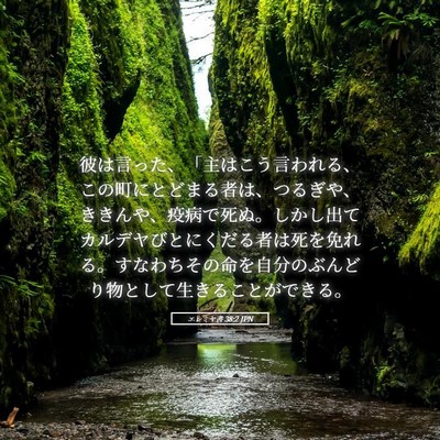 Picture 05 - エレミヤ書 38:2 JPN - 彼は言った、「主はこう言われる、 - Bible Verse Picture