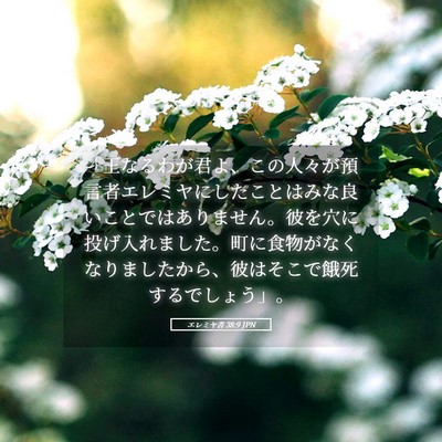 Picture 05 - エレミヤ書 38:9 JPN - 「王なるわが君よ、この人々が預言 - Bible Verse Picture