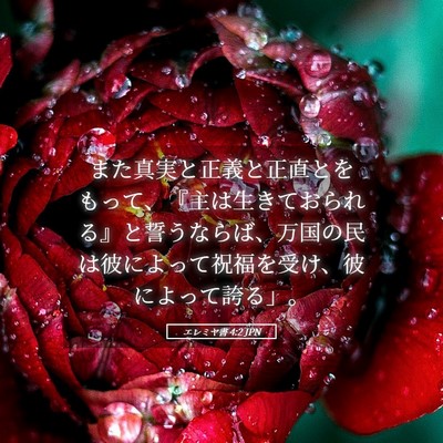 Picture 05 - エレミヤ書 4:2 JPN - また真実と正義と正直とをもって、 - Bible Verse Picture