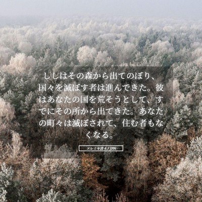 Picture 05 - エレミヤ書 4:7 JPN - ししはその森から出てのぼり、国々 - Bible Verse Picture