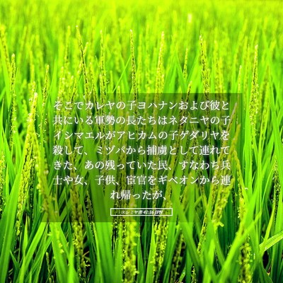 Picture 05 - エレミヤ書 41:16 JPN - そこでカレヤの子ヨハナンおよび彼 - Bible Verse Picture
