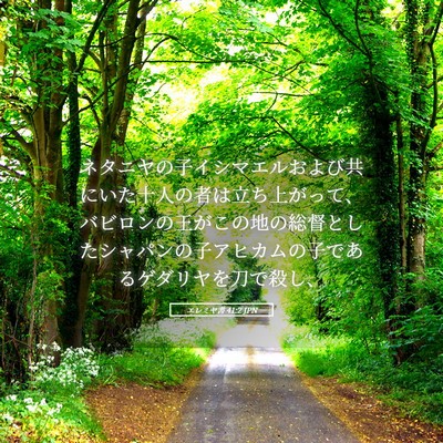 Picture 05 - エレミヤ書 41:2 JPN - ネタニヤの子イシマエルおよび共に - Bible Verse Picture