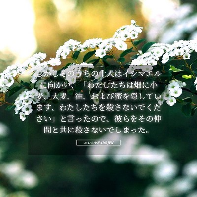 Picture 05 - エレミヤ書 41:8 JPN - しかしそのうちの十人はイシマエル - Bible Verse Picture