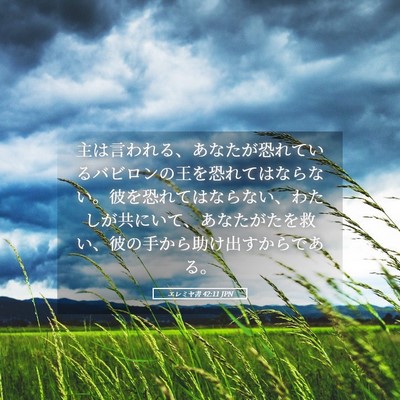 Picture 05 - エレミヤ書 42:11 JPN - 主は言われる、あなたが恐れている - Bible Verse Picture