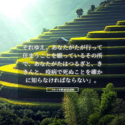 Picture 05 - エレミヤ書 42:22 JPN - それゆえ、あなたがたが行って住ま - Bible Verse Picture