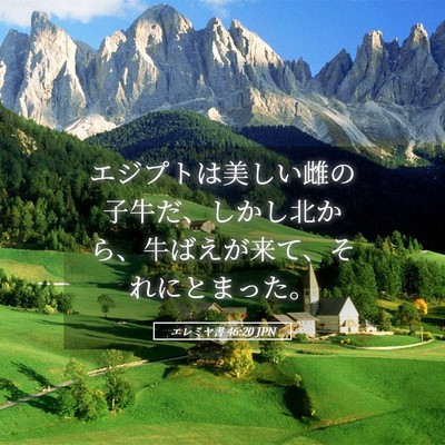 Picture 05 - エレミヤ書 46:20 JPN - エジプトは美しい雌の子牛だ、しか - Bible Verse Picture