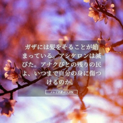 Picture 05 - エレミヤ書 47:5 JPN - ガザには髪をそることが始まってい - Bible Verse Picture