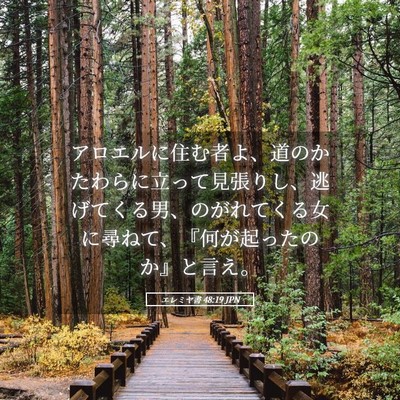 Picture 05 - エレミヤ書 48:19 JPN - アロエルに住む者よ、道のかたわら - Bible Verse Picture