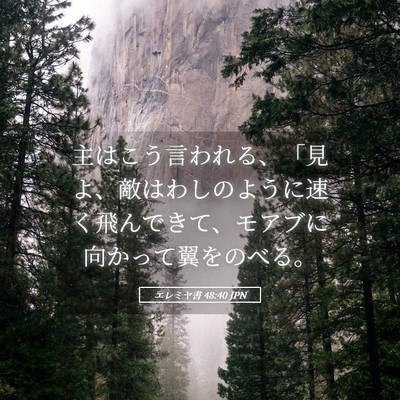Picture 05 - エレミヤ書 48:40 JPN - 主はこう言われる、「見よ、敵はわ - Bible Verse Picture