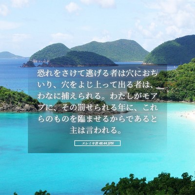 Picture 05 - エレミヤ書 48:44 JPN - 恐れをさけて逃げる者は穴におちい - Bible Verse Picture