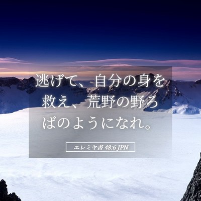 Picture 05 - エレミヤ書 48:6 JPN - 逃げて、自分の身を救え、荒野の野 - Bible Verse Picture