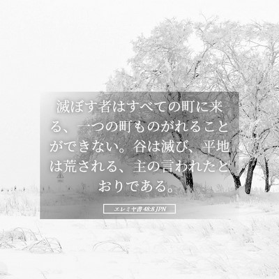Picture 05 - エレミヤ書 48:8 JPN - 滅ぼす者はすべての町に来る、一つ - Bible Verse Picture