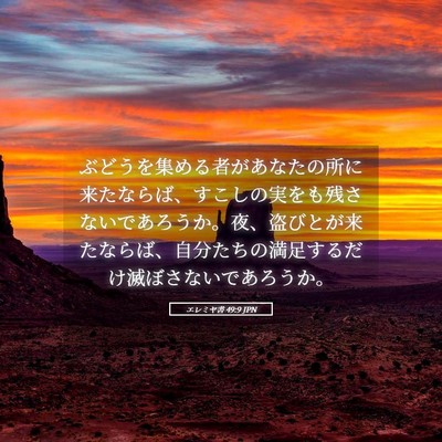 Picture 05 - エレミヤ書 49:9 JPN - ぶどうを集める者があなたの所に来 - Bible Verse Picture
