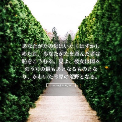 Picture 05 - エレミヤ書 50:12 JPN - あなたがたの母はいたくはずかしめ - Bible Verse Picture
