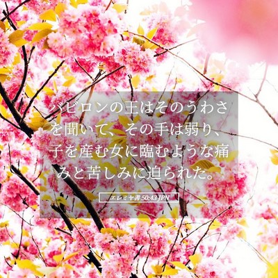 Picture 05 - エレミヤ書 50:43 JPN - バビロンの王はそのうわさを聞いて - Bible Verse Picture