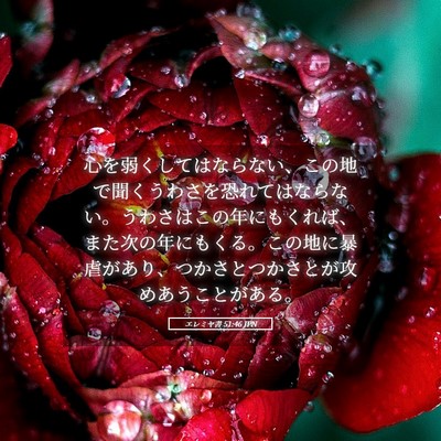 Picture 05 - エレミヤ書 51:46 JPN - 心を弱くしてはならない、この地で - Bible Verse Picture