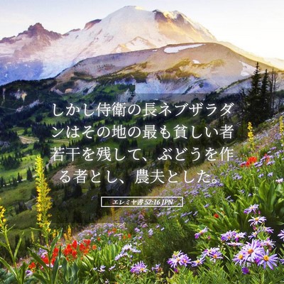 Picture 05 - エレミヤ書 52:16 JPN - しかし侍衛の長ネブザラダンはその - Bible Verse Picture