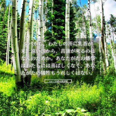 Picture 05 - エレミヤ書 6:20 JPN - シバから、わたしの所に乳香が来、 - Bible Verse Picture