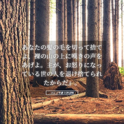 Picture 05 - エレミヤ書 7:29 JPN - あなたの髪の毛を切って捨てよ、裸 - Bible Verse Picture