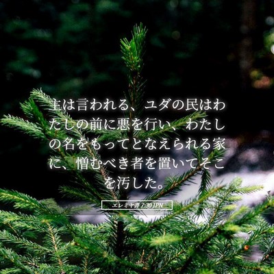 Picture 05 - エレミヤ書 7:30 JPN - 主は言われる、ユダの民はわたしの - Bible Verse Picture