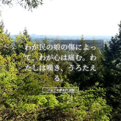 Picture 05 - エレミヤ書 8:21 JPN - わが民の娘の傷によって、わが心は - Bible Verse Picture