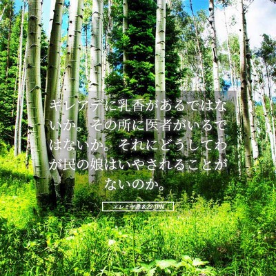 Picture 05 - エレミヤ書 8:22 JPN - ギレアデに乳香があるではないか。 - Bible Verse Picture