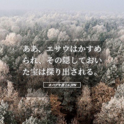 Picture 05 - オバデヤ書 1:6 JPN - ああ、エサウはかすめられ、その隠 - Bible Verse Picture