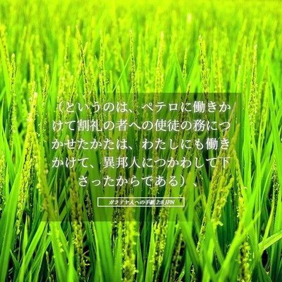 Picture 05 - ガラテヤ人への手紙 2:8 JPN - （というのは、ペテロに働きかけて - Bible Verse Picture