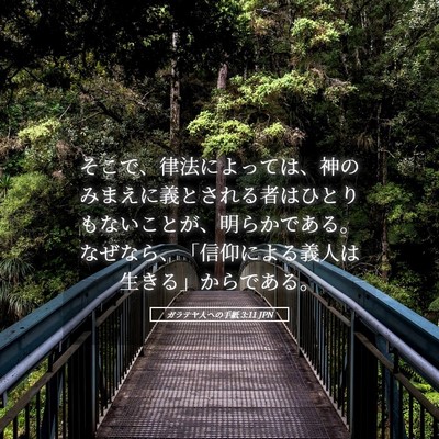 Picture 05 - ガラテヤ人への手紙 3:11 JPN - そこで、律法によっては、神のみま - Bible Verse Picture