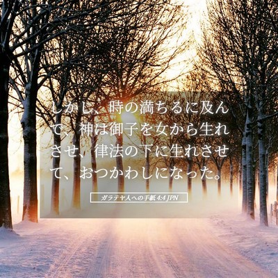 Picture 05 - ガラテヤ人への手紙 4:4 JPN - しかし、時の満ちるに及んで、神は - Bible Verse Picture