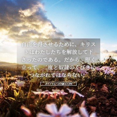 Picture 05 - ガラテヤ人への手紙 5:1 JPN - 自由を得させるために、キリストは - Bible Verse Picture