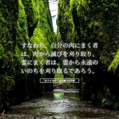 Picture 05 - ガラテヤ人への手紙 6:8 JPN - すなわち、自分の肉にまく者は、肉 - Bible Verse Picture
