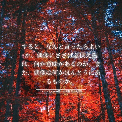 Picture 05 - コリント人への第一の手紙 10:19 JPN - すると、なんと言ったらよいか。偶 - Bible Verse Picture