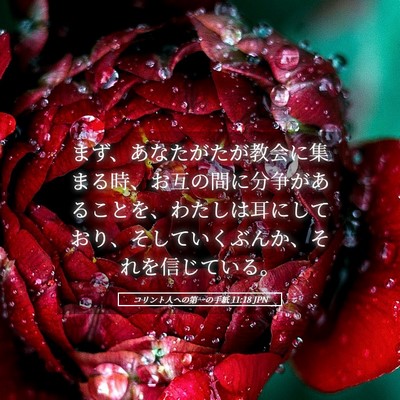 Picture 05 - コリント人への第一の手紙 11:18 JPN - まず、あなたがたが教会に集まる時 - Bible Verse Picture
