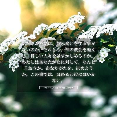 Picture 05 - コリント人への第一の手紙 11:22 JPN - あなたがたには、飲み食いをする家 - Bible Verse Picture